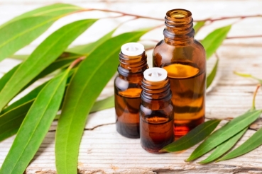 Eukalyptusöl - naturreines ätherisches Öl  - 20 ml, 30 ml, 100 ml in Tropfglasflasche